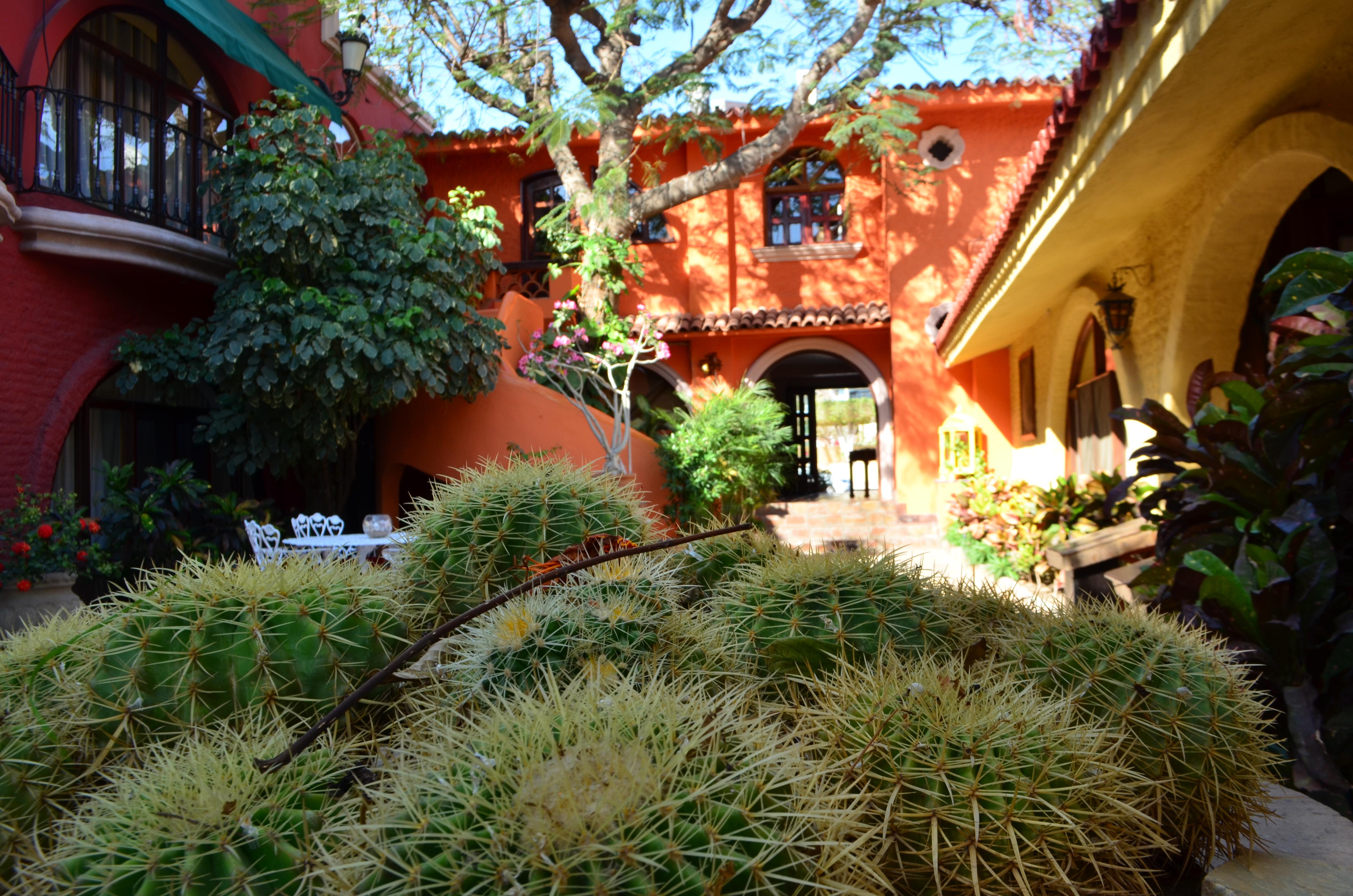 Collection O Casa Bella Hotel Boutique, Cabo San Lucas Kültér fotó